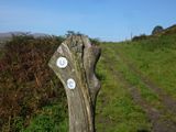 Bridleway 9